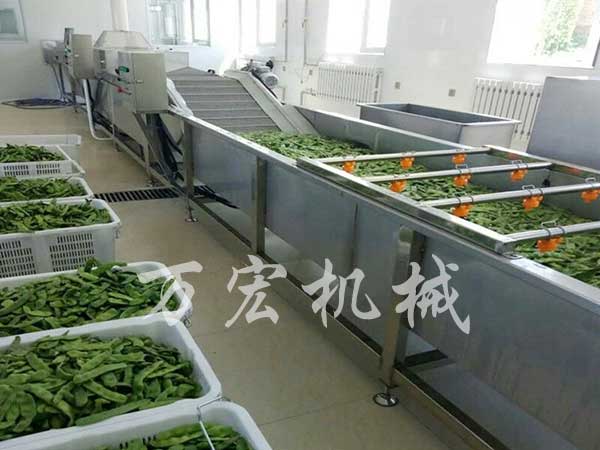 蔬菜清洗流水線工作現場